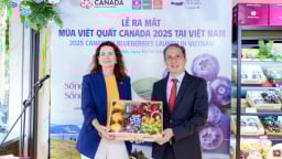 Việt quất Canada lần đầu tiên được nhập khẩu chính ngạch vào Việt Nam