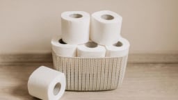 5 tiêu chí chọn giấy vệ sinh an toàn, tránh kích ứng da
