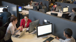 Học sinh Việt Nam 'rộng cửa' du học New Zealand
