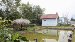 Có nên bán nhà ở quê mua đất thành phố?