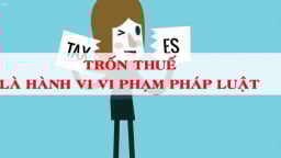 Trốn thuế hàng trăm triệu đồng từ nguồn thu quảng cáo Youtube