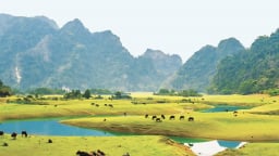 Khám phá thảo nguyên xanh trong lòng xứ Lạng