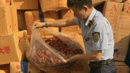 Hà Nội tạm giữ và tiêu hủy hơn 4 tấn táo đỏ nhập lậu