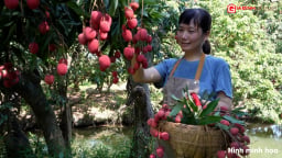 Loại quả mùa hè giúp chống oxy hoá, tốt cho sức khoẻ