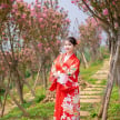 Độc đáo đồi hoa anh đào giữa núi rừng Tây Bắc 