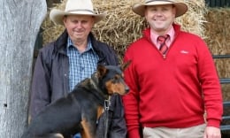Chú chó 'tài năng' được bán với giá hơn 1,2 tỷ đồng, phá kỷ lục nước Úc