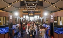 Liên tiếp 5 hội chợ triển lãm tại Hồng Kông: Cơ hội lý tưởng cho các doanh nghiệp Việt Nam