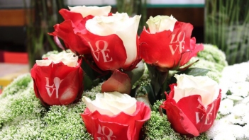 Dịp Valentine, không chỉ tại Việt Nam, khắp nơi trên thế giới, giá hoa hồng tăng gấp 2-3 lần