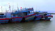 Quảng Nam: Cấm tàu thuyền ra biển hoạt động từ trưa 25/10