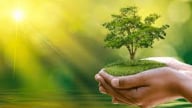 Tạo bầu không khí sạch: Hành trình đang được tăng tốc