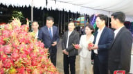 Xây dựng thương hiệu 'Thanh long Sơn La'