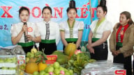 Mường La đưa cây ăn quả lên vùng đất dốc