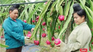 Ứng dụng công nghệ vào sản xuất