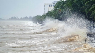 Chủ động ứng phó áp thấp nhiệt đới khả năng mạnh lên thành bão