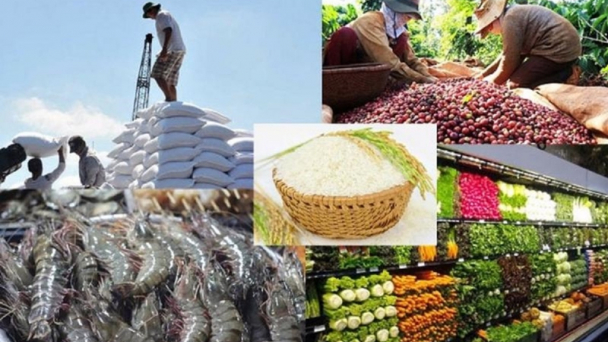 Xuất khẩu nông, lâm, thủy sản tăng mạnh nửa đầu 2025