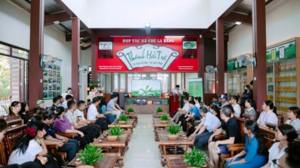 Vùng chè Thái Nguyên nâng chất, xây dựng thương hiệu