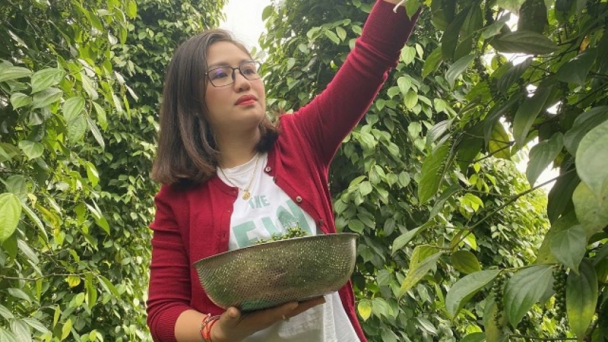 Giá tiêu ngày 9/7: Ổn định vùng 138.000–142.000 đồng/kg