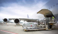 Tăng trưởng logistics hàng không nhờ các hiệp định thương mại