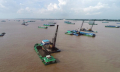 Đẩy mạnh nghiên cứu cát biển thay thế cát sông trong san lấp