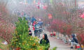 Đề xuất 2 phương án nghỉ Tết Nguyên đán năm 2024