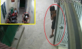 Công an điều tra kẻ biến thái rình rập, sàm sỡ cô gái đẹp ở Hà Nội