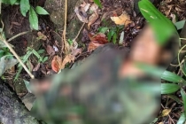 Súng cướp cò, nam thanh niên trúng 13 mảnh đạn tử vong ở Quảng Ngãi