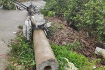 Nguyên nhân hàng trăm cột điện bị ‘hạ gục’ sau bão số 5