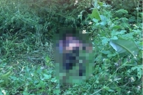 Phát hiện thi thể nam giới nghi bị sát hại dã man ở Yên Bái
