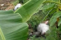 Vụ thi thể cô gái 17 tuổi bị trói tay chân ở Yên Bái: Triệu tập một người đàn ông