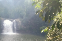 Lâm Đồng: Hơn 80 người tham gia tìm kiếm người đàn ông bị mất tích tại thác nước 7 tầng