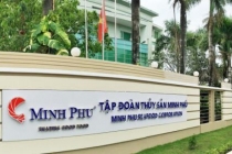 Mỹ điều tra hành vi lẩn tránh thuế sản phẩm tôm xuất khẩu của Tập đoàn Thủy sản Minh Phú