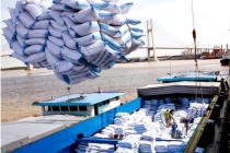 Lùm xùm xuất khẩu gạo lúc 0 giờ: Lộ diện doanh nghiệp trúng số lượng lớn