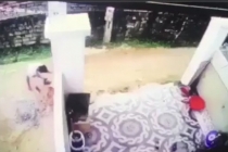 Bắt tài xế lùi xe cán chết bé trai ở Nghệ An rồi giấu xác phi tang