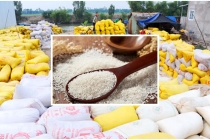 Chính thức xuất khẩu gạo trở lại bình thường từ 1/5