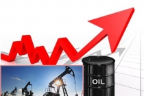 Giá xăng dầu hôm nay 22/6: Giá dầu tăng trở lại