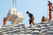 Bộ Công thương đề nghị công khai thương nhân đăng ký xuất khẩu gạo