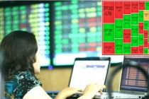 Thị trường chứng khoán ngày 13/5: VN-Index leo dốc, giao dịch bùng nổ