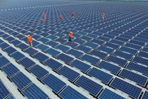Kiến nghị dừng, giãn tiến độ các dự án điện mặt trời ở Ninh Thuận