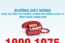 Người dân Thừa Thiên Huế có thắc mắc gì liên quan đến dịch Covid-19, hãy gọi số điện thoại này
