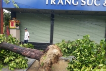 Thêm hai người ở Thừa Thiên Huế tử vong do bão số 5