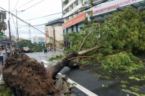 Thừa Thiên Huế: 1 người chết, hơn 1660 nhà bị tốc mái do bão số 5