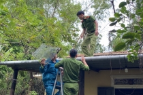 Ảnh hưởng của bão số 9, khoảng 100 nhà ở Thừa Thiên Huế bị tốc mái
