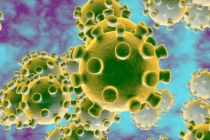 Chất khử trùng có diệt được virus corona gây dịch Covid-19 không?