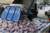 Dùng xe rác chở thịt cho vùng cách ly, quan chức Vũ Hán bị sa thải