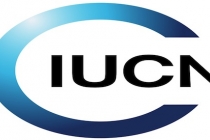 IUCN là gì?