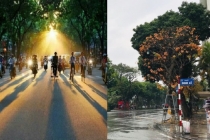 Dự báo thời tiết ngày mai 20/3: Hà Nội vẫn còn mưa, Nam bộ nắng nóng