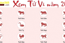 Tử vi 12 con giáp ngày 11/10/2020 chi tiết nhất