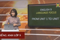 Lịch phát sóng chương trình 'Học trên truyền hình' cho học sinh lớp 11 tại Hà Nội