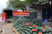 Hà Nội: Người dân chung tay 'giải cứu’ dưa hấu trong mùa dịch corona