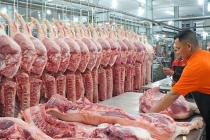 Thịt lợn nhập khẩu đi đâu khi ít thấy trên siêu thị?